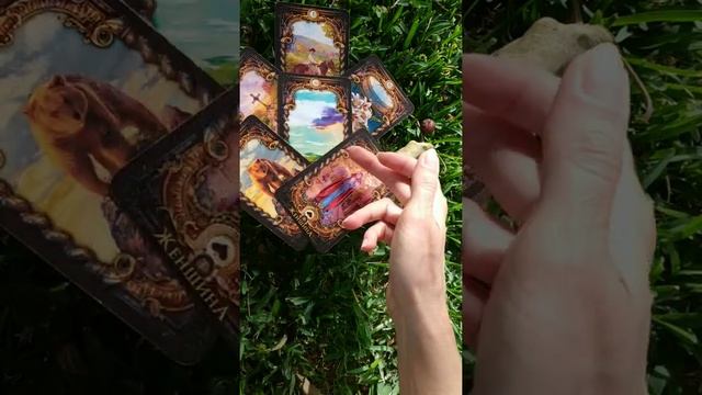 ПОЧЕМУ МОЛЧИТ, НЕ ПИШЕТ, НЕ ЗВОНИТ загаданный человек? Что происходит? Таро#shorts#shortstarot смотреть онлайн