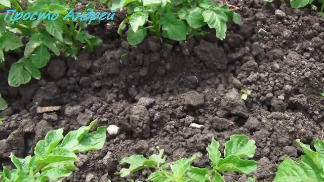 СтройНастольгия