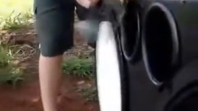 Сабвуфер потрошит диски