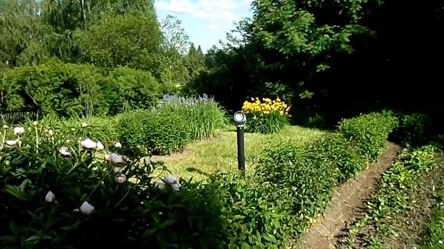 Шахматово музей-усадьба Блока летний домик 25.06.2022 смотреть онлайн