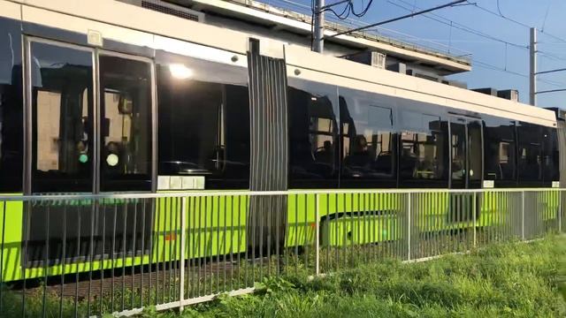 Чижик едет на ст. Метро Ладожская смотреть онлайн