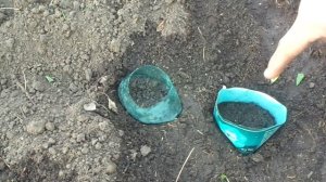 НЕ Спешите сажать КАБАЧКИ,  а  Посмотрите Новый Способ посадки КАБАЧКОВ и Огурцов и Дынь.