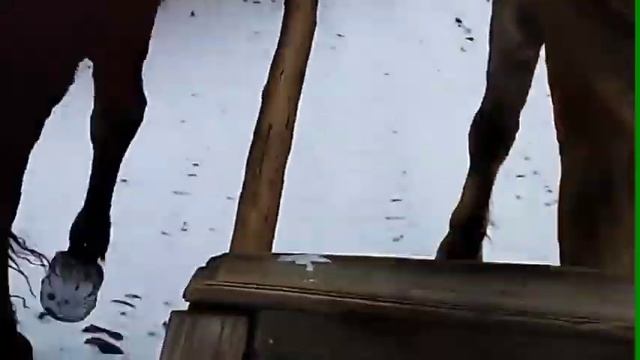 Запрягли тройку лошадей??? смотреть онлайн