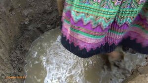 Primitive Life: Primitive skills build fish trap catch a lot of fish - Fishing by deep hole