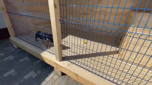 Вольер 4м смотреть онлайн