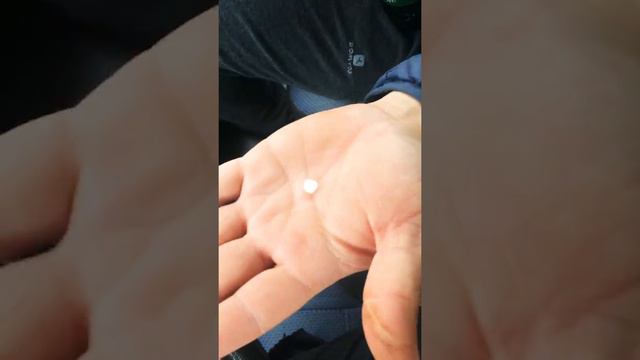 Лето 10 июня 😄 шикарная погода 😄😄😄 надо идти купаться😄😄😄 ул Губкина Казань смотреть онлайн