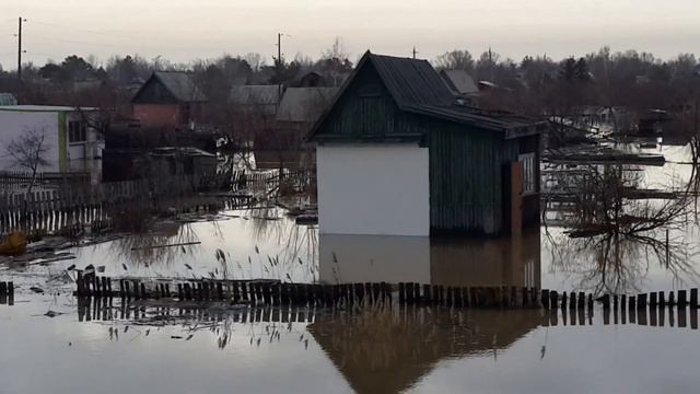 Наводнение в караганде. дачи федоровка. смотреть онлайн