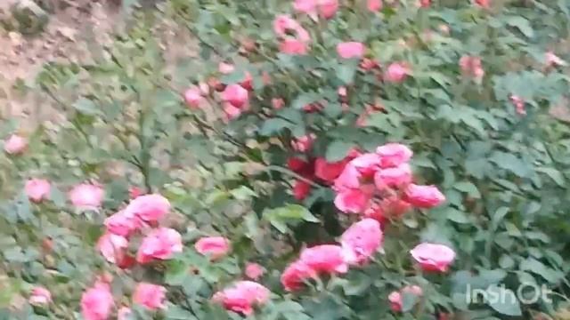 Модные DIY проекты для дома