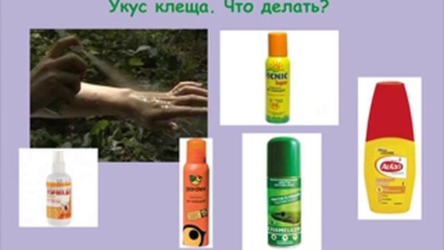 Укус клеща, что делать и как предотвратить. смотреть онлайн