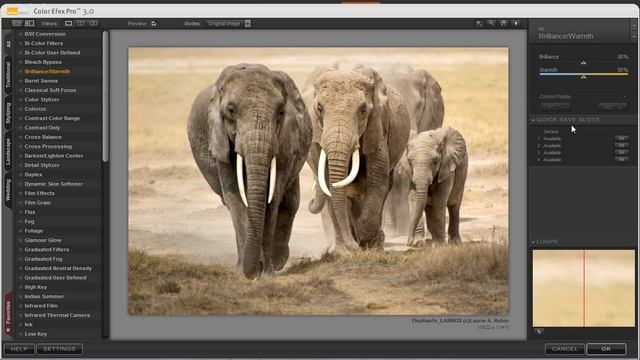Getting starting with NIK Color Efex Pro 3.0 in PaintShop Pro X4 Ultimate смотреть онлайн