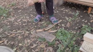 Переехали жить в аул где всего 8 домов. Как живут в деревнях Казахстана? Осень в Казахстане