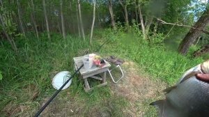 Рыбалка на реке на поплавок Килограммовый язь, лещ, Класс! Ловля леща на удочку