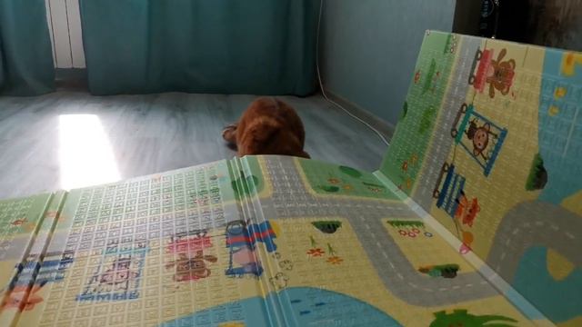 НЕДЕЛЯ ЧТЕНИЯ ЭКСКЛЮЗИВНОЙ КЛАССИКИ📚 || День 5 || Good day😘 смотреть онлайн