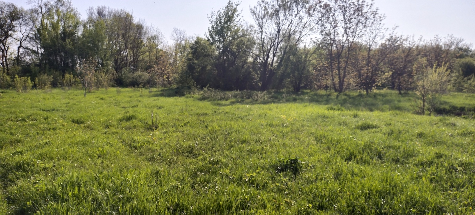 Шикарный участок 22 сотки - до моря 40 мин на машине! смотреть онлайн