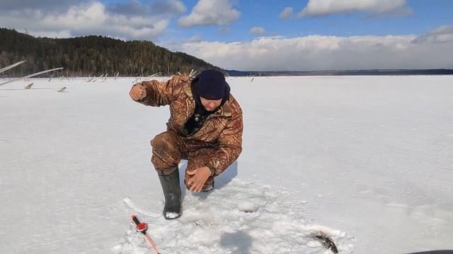 Первый налим на жерлицу.Последняя рыбалка в Иркутской области.Рыбалка в сибири на окуня. смотреть онлайн