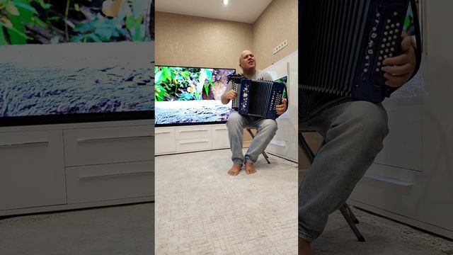 #голуби летят над нашей зоной.... ????? гармонь. смотреть онлайн