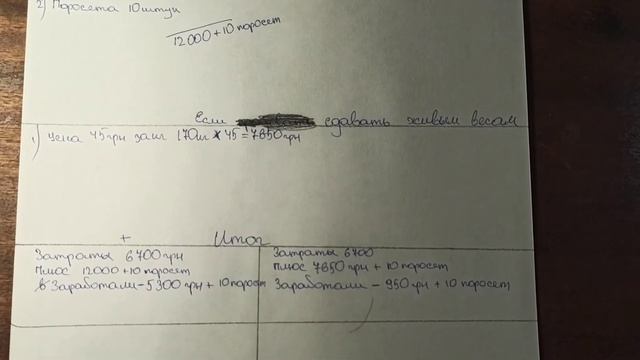 Рентабельность одной свиньи