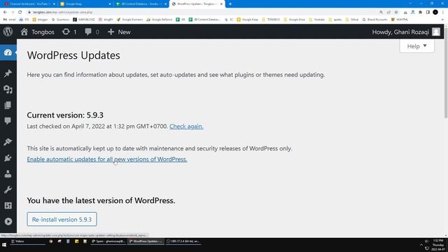 How to Disable Wordpress Auto Updates смотреть онлайн