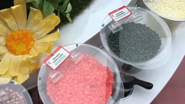 США ?? ГОРНО-ЛЫЖНЫЙ КОМПЛЕКС И АТТРАКЦИОНЫ В НЬЮ ДЖЕРСИ. AMERICAN DREAM. смотреть онлайн