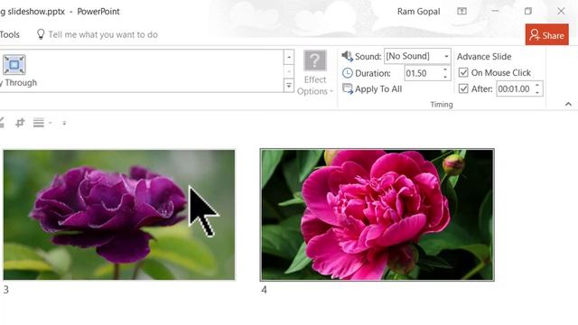 How to create a Continuously Looping Slideshow in PowerPoint смотреть онлайн