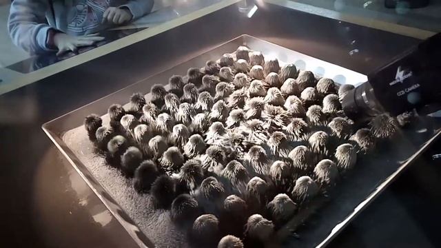 Магнитная пыль смотреть онлайн