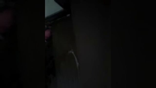 Киров Клининг очистка лестницы из натурального камня пористого химическим средством. смотреть онлайн