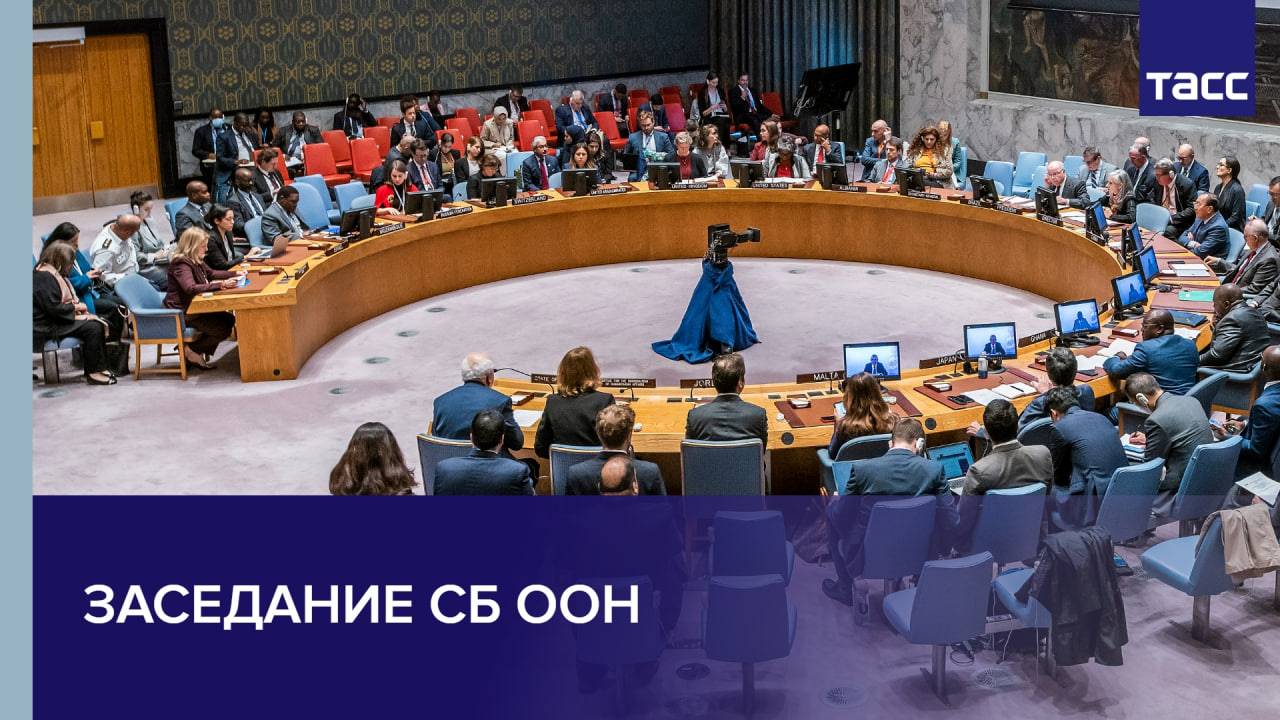 Заседание СБ ООН