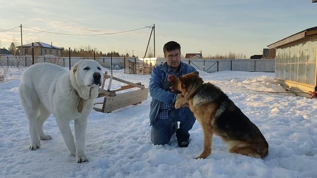 15 марта 2022 г. смотреть онлайн