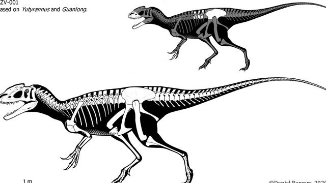 Sinotyrannus - Tyrano Chino - DinoPedias смотреть онлайн