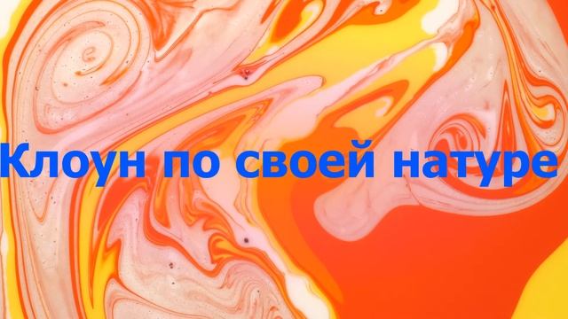 Яркий клоун с крыльями.Смотрите картинки и фотографии про попугаев смотреть онлайн