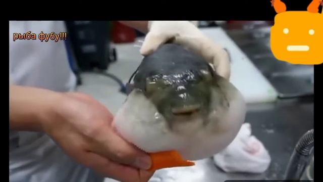 Как правильно кушать морковь смотреть онлайн