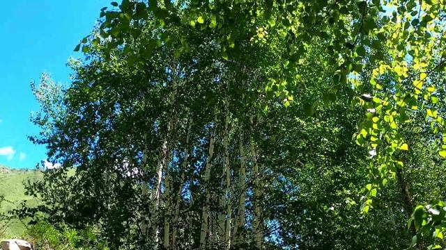 Супер природа Казахстана смотреть онлайн