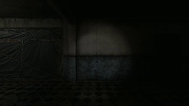 Silent Hill Alchemilla 05