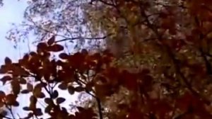 стихи Эльдара Рязанова. Читает Владимир Глазунов.