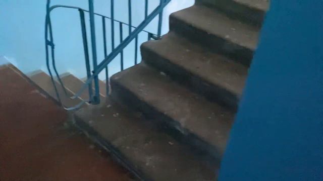 (036.0/641) Лифт ЩЛЗ ecomaks 2017 г. 400 кг. / Южно-моравская 74, подъезд 2 смотреть онлайн