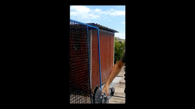 Николаевские голуби смотреть онлайн