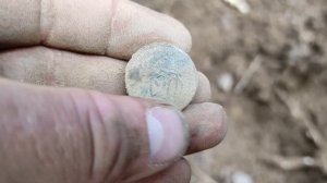 Minelab x-terra 705 Копаю монеты в лесу с теркой 705. Катушка 18.75 кгц