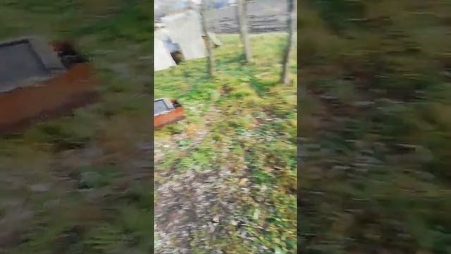 Наш домик в деревне и прилегающий к нему участок. Часть 1 смотреть онлайн