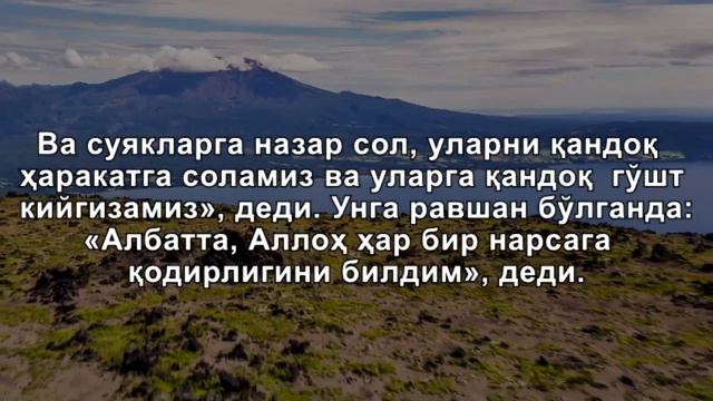 Набил ал Авади - «Бакара» сураси (258-261 оятлар) ᴴᴰ смотреть онлайн