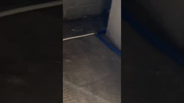 ЖК Гранд парк, сдан, ФЗ-214, площадь 38,5 м.кв. Вид на море. Стоимость 11,5 млн.₽ 📞Олег 89189025415