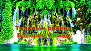 Тополь и рябина. Валерий Сёмин.