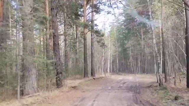 Таинственное озеро Данилово - одно из пяти мистических озёр! смотреть онлайн