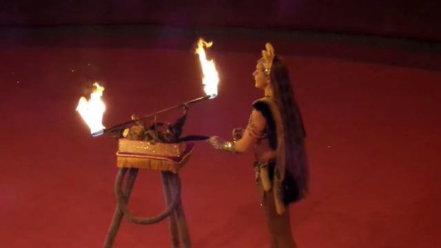 Кошки. Цирк. Кошка в цирке играет с огнём. Cats. Circus. The cat plays with fire. смотреть онлайн