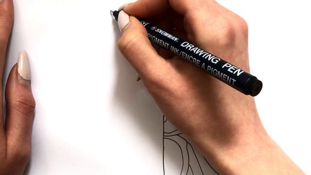 Sonic VS Metal Sonic | How to Draw Sonic the Hedgehog 2 Easy Step by Step смотреть онлайн