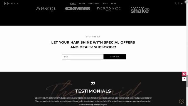 Curly Hair Salon Website ★ WordPress Themes & Templates ★ смотреть онлайн