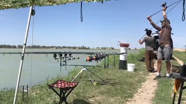 Золотой карп 2018 #4 смотреть онлайн