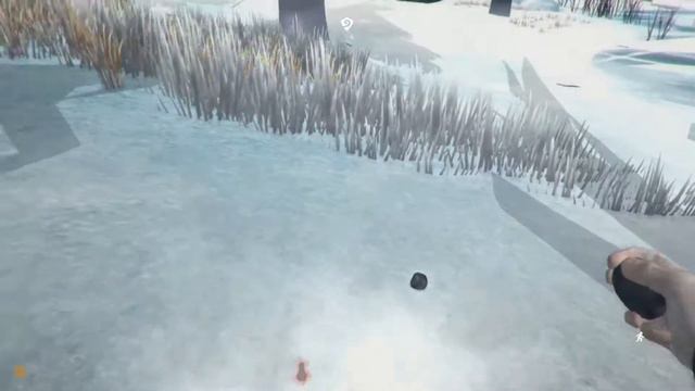 Echoes of Astrid (The Long Dark #3) смотреть онлайн