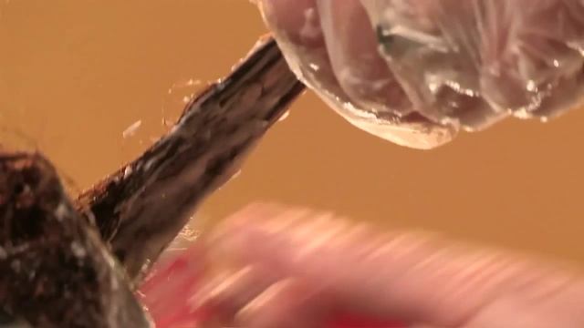 01 BRONDIROVANIE смотреть онлайн