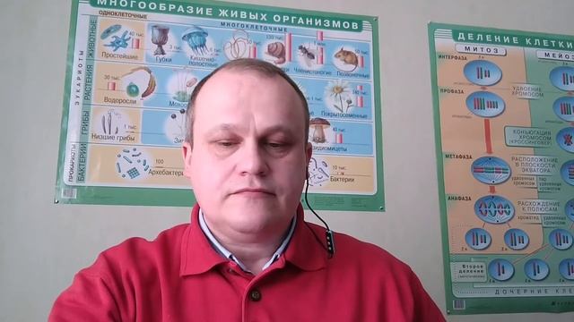 Заразен ли клещ, как определить? смотреть онлайн