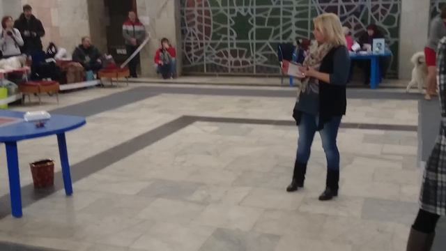 СВОБОДНАЯ СТАЯ ЖАК, 9 мес, 30.01.16 г., Гиндуллина - отл. смотреть онлайн